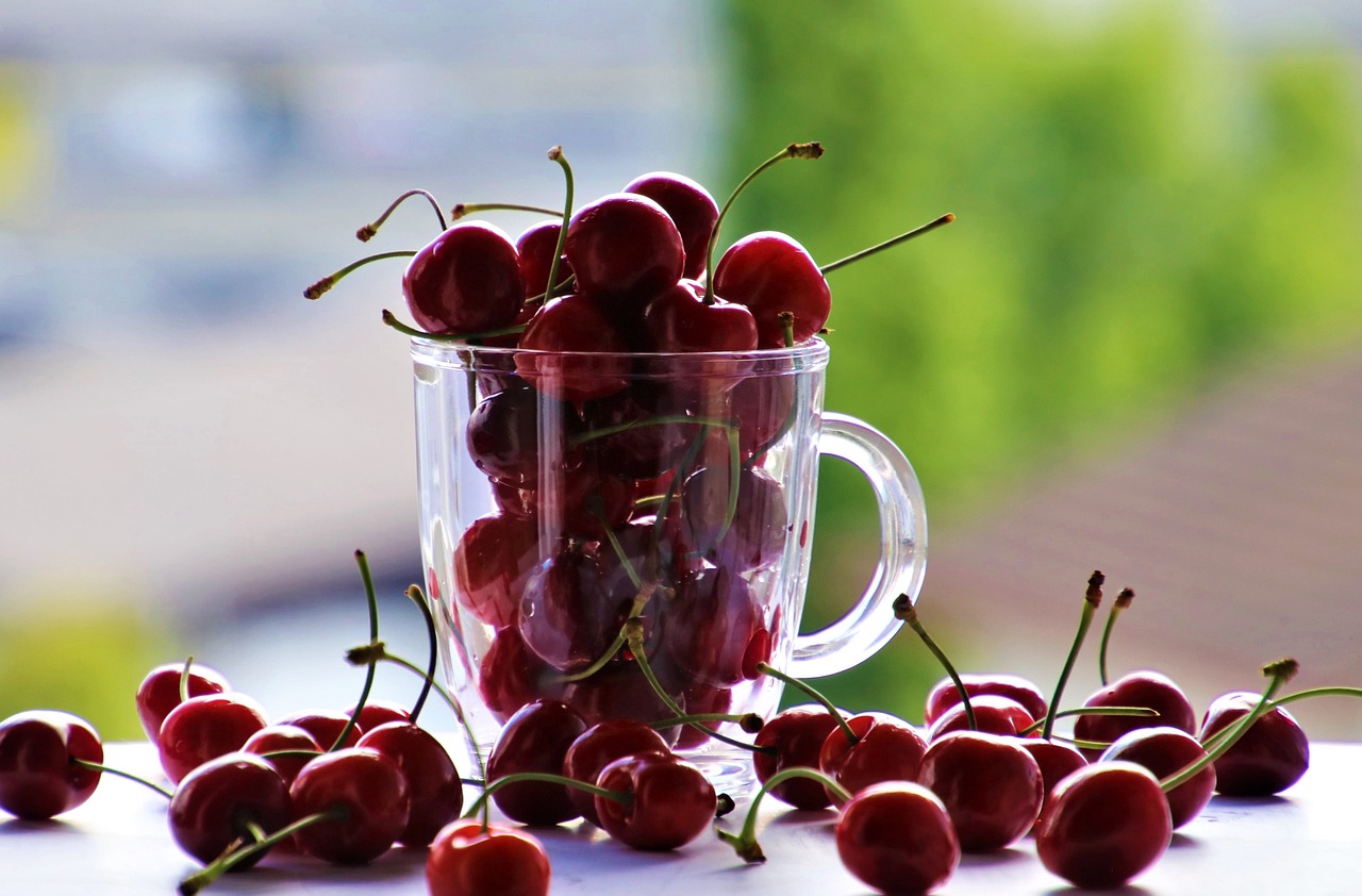 Why Every Home Should Have These Eco-Friendly Products